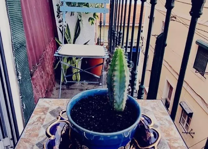 Charming To Rent
