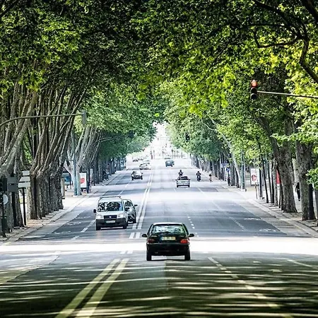 Charming To Rent Apartman *