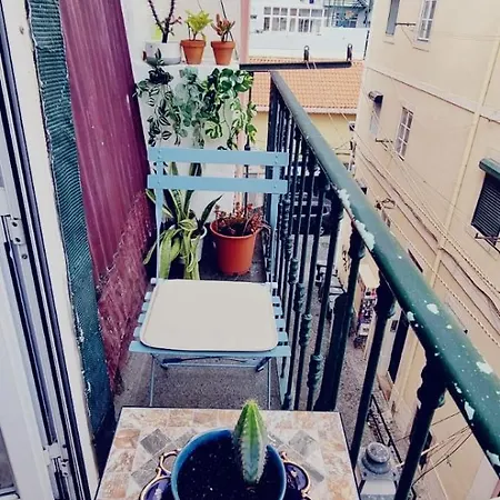 Charming To Rent Apartament