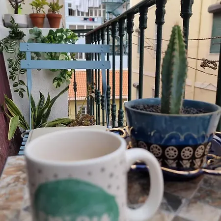 Charming To Rent Apartament *