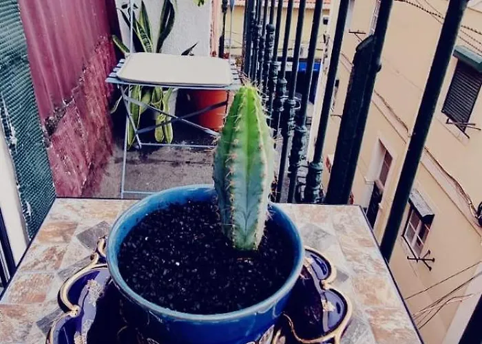 Charming To Rent * Lisboa