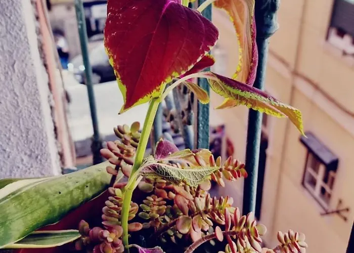 Διαμέρισμα Charming To Rent