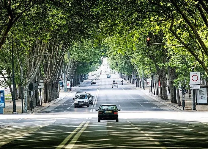 Charming To Rent 아파트 *