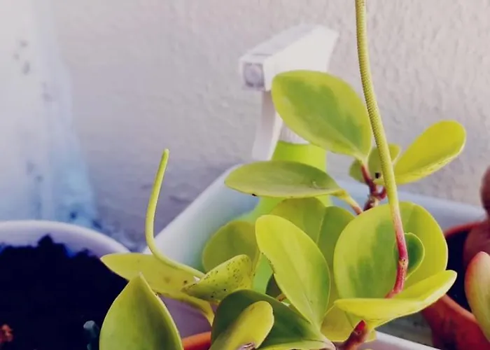 아파트 Charming To Rent 리스본